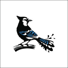 bird, crow, black, animal, wildlife, nature, raven, magpie, beak, white, wild, birds, feather, branch, isolated, avian, feathers
blue jay on a branch