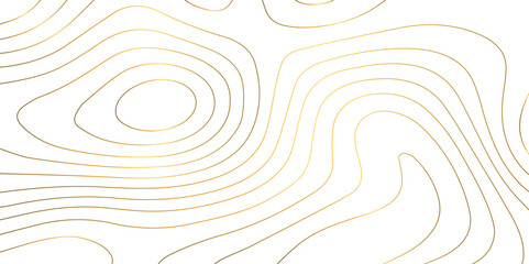 Abstract wave paper curved reliefs background .gradient multicolor wave curve lines banner background design .topographic contours map background .Vector geographic contour map.