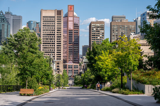 Downtown Rutherford รูปภาพRutherford – เลือกดูภาพถ่ายสต็อก เวกเตอร์ และวิดีโอ1,241 | Adobe ...