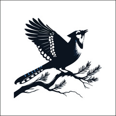 blue bird on a white background