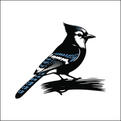 blue bird on a white background