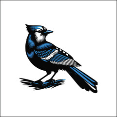 blue bird on a white background