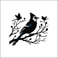 blue bird on a white background