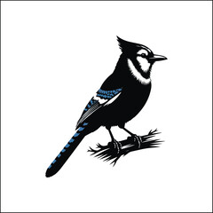 blue bird on a white background