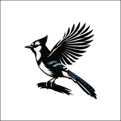 blue bird on a white background