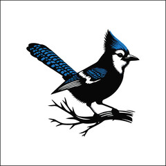 blue bird on a white background