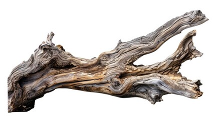 Close-up of wood grain on a white background, ideal for designs and illustrations