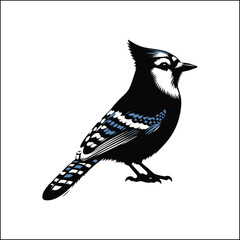 blue bird on a white background