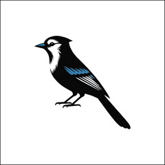 blue bird on a white background