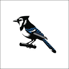 blue bird on a white background