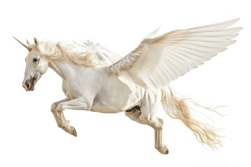 Fototapeta premium A majestic white horse with magnificent wings soaring through the air, evoking freedom and magic