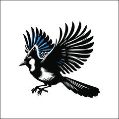blue bird on a white background
