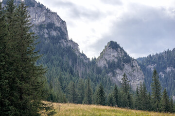 
view of the mountains in the morning