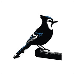 blue bird on a white background