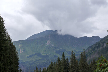 Obraz premium view from the top of the mountain on a cloudy day
