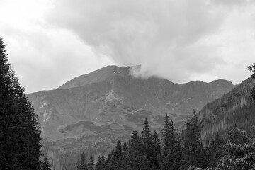Fototapeta premium view from the top of the mountain on a cloudy day