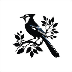 blue jay on a branch