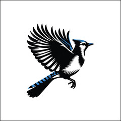 blue jay on a branch