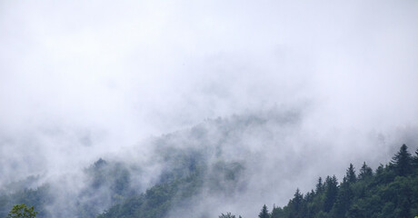 fog on the mountain before the rain