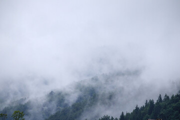 
fog on the mountain before the rain