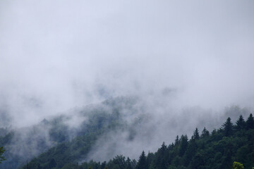 
fog on the mountain before the rain