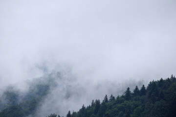 
fog on the mountain before the rain