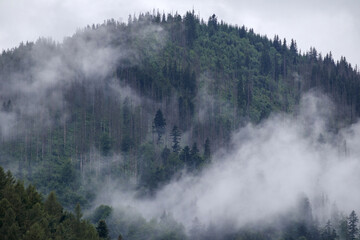 fog on the mountain before the rain