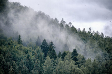 
fog on the mountain before the rain