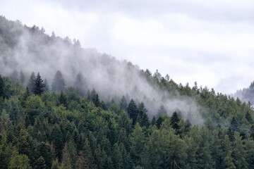 
fog on the mountain before the rain