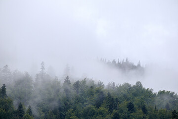 
fog on the mountain before the rain