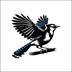 blue jay on a branch