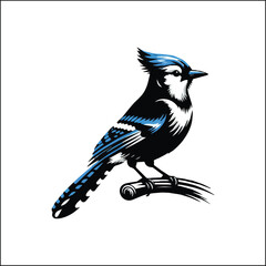 blue jay on a branch