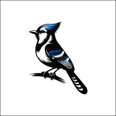 blue jay on a branch