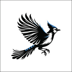 blue jay on a branch