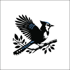 blue jay on a branch