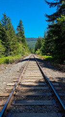 Obraz premium Canadian summer with forest backdrop showing railway