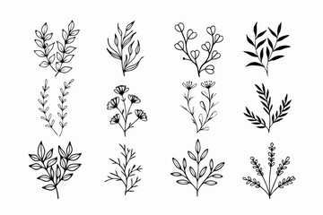 A set of wildflowers Floral branches and minimalist leaves for logos or tattoos. Hand-drawn line wedding herb, elegant wildflowers. Minimal line art drawing for print, cover, or wallpaper