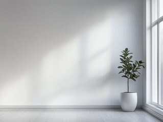 Fototapeta premium Minimalist room with a potted tree and natural lighting. Apartment interior design composition with ample copyspace.