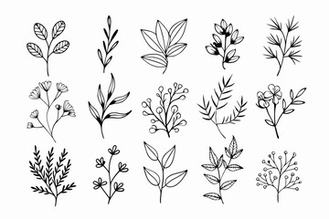 A set of wildflowers Floral branches and minimalist leaves for logos or tattoos. Hand-drawn line wedding herb, elegant wildflowers. Minimal line art drawing for print, cover, or wallpaper