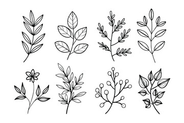 A set of wildflowers Floral branches and minimalist leaves for logos or tattoos. Hand-drawn line wedding herb, elegant wildflowers. Minimal line art drawing for print, cover, or wallpaper