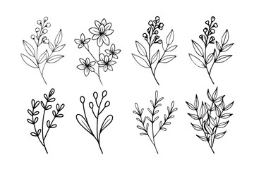 A set of wildflowers Floral branches and minimalist leaves for logos or tattoos. Hand-drawn line wedding herb, elegant wildflowers. Minimal line art drawing for print, cover, or wallpaper