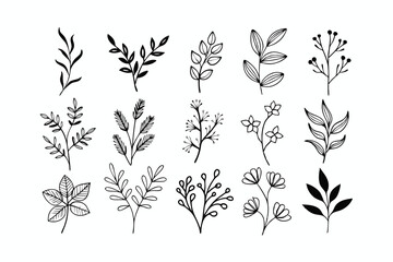 Fototapeta premium A set of wildflowers Floral branches and minimalist leaves for logos or tattoos. Hand-drawn line wedding herb, elegant wildflowers. Minimal line art drawing for print, cover, or wallpaper