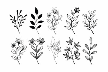 A set of wildflowers Floral branches and minimalist leaves for logos or tattoos. Hand-drawn line wedding herb, elegant wildflowers. Minimal line art drawing for print, cover, or wallpaper