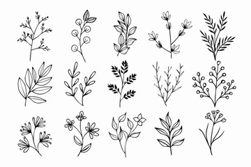 A set of wildflowers Floral branches and minimalist leaves for logos or tattoos. Hand-drawn line wedding herb, elegant wildflowers. Minimal line art drawing for print, cover, or wallpaper