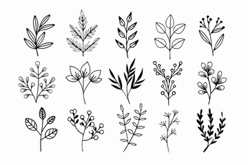 A set of wildflowers Floral branches and minimalist leaves for logos or tattoos. Hand-drawn line wedding herb, elegant wildflowers. Minimal line art drawing for print, cover, or wallpaper