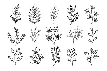 Fototapeta premium A set of wildflowers Floral branches and minimalist leaves for logos or tattoos. Hand-drawn line wedding herb, elegant wildflowers. Minimal line art drawing for print, cover, or wallpaper
