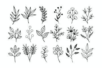 A set of wildflowers Floral branches and minimalist leaves for logos or tattoos. Hand-drawn line wedding herb, elegant wildflowers. Minimal line art drawing for print, cover, or wallpaper