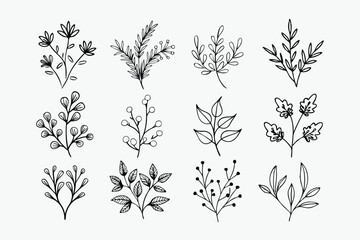 Fototapeta premium A set of wildflowers Floral branches and minimalist leaves for logos or tattoos. Hand-drawn line wedding herb, elegant wildflowers. Minimal line art drawing for print, cover, or wallpaper