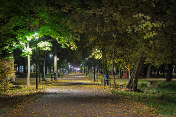 Dark autumn evening park alley. Yellow fallen leaves lie on the path. Street lamp is shining. Background. Landscape