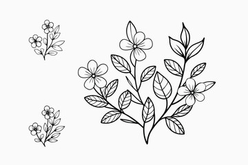 A set of wildflowers Floral branches and minimalist leaves for logos or tattoos. Hand-drawn line wedding herb, elegant wildflowers. Minimal line art drawing for print, cover, or wallpaper